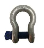 SB CHAVAN Silver D-Shackle 3/4