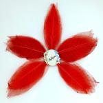 Palesaa Candy Red Magnolia Long Natural Skeleton Leaves Pack of 50pcs Artificial Plant (15 cm, Red)