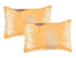 RRC Cotton Pillow Covers Set of 2-18