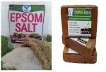 Shiviproducts Epsom Salt and Cocopeat Expands to 2 Pots for Plants Free Coriander Seeds 1 kg, 2 Blocks