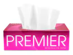 Premier Face Tissue 2 Ply 100 Pulls Box