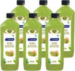 AACTUALA Kiwi Aloe Vera Coconut Water Fruit Juice, Aloe Vera Juice - 200ml, Pack of 6 (6 x 200 ml)