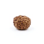 Sharvv 9 mukhi Indonasian Bead Original Rudraksha Bead for Men & Women, Origin Indonesian, Color Brown