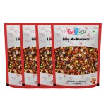 Funtush Mouth Freshener Long Mix Mukhwas 100 gm Pack of 4