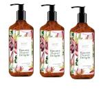 SORTH LUXURIOUS Banana Flower Delight Gel Hand Wash | Germ Protection - 250 ML | Pack Of 3