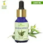 Homeda Eucalyptus Oil Essential Oil - Nilgiri Oil (1 Litre / 1000 ml) for Cold and Cough, Hair Growth, Diffuser, Aromatherapy (eculaptypus, eucliliptus)