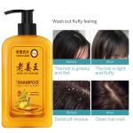 SOMWRITA Yellow Ginger Hair Growth & Healthy Hair Shampoo | Ginger Anti-Dandruff Shampoo For Healthy Scalp & Hair | Damage Repairs | Ginger Shampoo for Men & Women - pack of 1 [250ml].