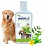 Dermacare Neem Plus Herbal Pet Shampoo | Puppy Safe Shampoo | Anti-Fungal, Antibacterial, Antiseptic & pH Balanced Pet Shampoo | Coat Cleansing and Conditioning Shampoo for Pets (200ml)