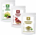 Amazercare Amla + Hibiscus + Bhringraj Powders Combo 100% Natural For Hair & Growth (Combo Of 3 Pouches) For Healthy Hair Care & Healthy Growth