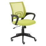 Finch Fox Low Back Executive Ergonomic Desk Mesh Fabric Chair in Parrot Green Color