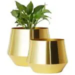 ecofynd 6 inches, Pack of 2 Alice Gold Metal Plant Pot, Decorative Modern Indoor Planter Flower Pots