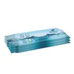 Dignity Spongee Body Wipes for Adult, 240x300 mm 10 Wipes/Pack (Pack of 3) 30 Wipes