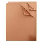 Buransh Akki Roti Making Sheet Obbattu Sheet Holige Sheet Reusable Heat Resistant Baking Mat Chappathi Puran Poli Rolling Mat BBQ Grill Mat Teflon Sheet