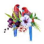Aquire New Modern Art & Trendy Wall Stickers for Home Decoration, Living Room, Bedroom Size -Large