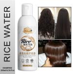 Buy Rabenda Rice Water Shampoo With Rice Protein & Oil-For Damaged and ...