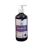 P-RAL Red Onion Black Seed Oil Shampoo Natural DHT Blockers for Hair for Control Fuller & Healthy Hair 300 ML|Pack of 1