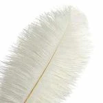 TIPTOP DECORATION Decoration White Ostrich Feather