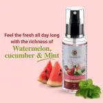THE SKIN CO.-Watermelon,Mint & Cucumber Face Mist- 100 ML