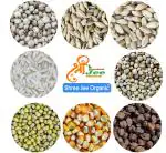 Shree Jee Organic Seven Assorted Grains 700 gram| 7 Dhan | Dhaan | sapt dhany for Pooja