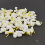 pujaNpujari Round Cotton Wicks for Diya/GOL Batti for Puja,250 Pieces (Pack of 2), Yellow