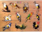 Childgossip 100% Good Quality Wooden Educational Learning BIRDS BOARD Puzzle for Kids (1 Pieces)
