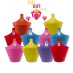 LAZYwindow Hooked Hanging Planters for Plants Railing Flower pots + Surprise Gift