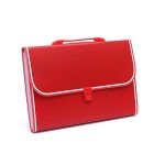 Packwell Expandable Document Bag/ Expanding File Folder/ Letter A4 Size File Organizer with Handle and Lock Set with 13 Pockets