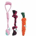 THE DDS STORE Dog Chew Toys Teething Training Interactive Puppy Sticks Gift Set of 3 for Medium Dog or Small Kong-Color May Vary