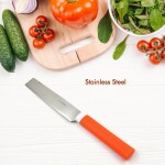 Ashmen Pack of 2 Stainless Steel Vegetable Knife Knife & Non-Slip Handle With Blade Cover Knife