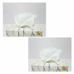 Home Float Ultra Soft Facial tissue box 200 pulls (Pack of 2) - 2 ply