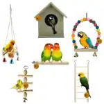 Sage Square Wooden Bird Toys Combo Bird House Ladder Perch Swing Hanging For Budgie Parrot Cockatiel Parakeet