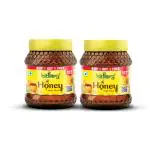 Hitkary PHARMACY Honey 200 gm (Buy 1 Get 1)