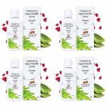 Parasoft Cal Body Moisturizing Calamine, Aloe vera And Rose For All Type Skin - 70 ml (Pack of 4)