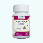 ANJIX Ginger Root Extract Zingiber Officinale 3 Percent Gingerol, 500 mg (60 Vegetarian Capsules)