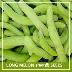 Farmgokart 150 Seed Pack of LONG MELON SEEDS