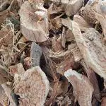 Xetomos Semal Musli Silk Cotton Bombax Malabaricum 100g