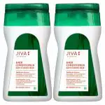 JIVA Hair Conditioner - Natural & Herbal Hair Conditioner - Provides Deep Nourishment - 100 ml Each - Pack of 2 (100 ml)