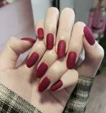 Secret Lives Acrylic Press on Designer Artificial Nails Extension Matte Wine Red Color 24 pcs Set with Glue Sheet