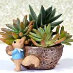 Craftify Squirrel Shape Resin Pot,Cute Squirrel Fleshy Succulent Planter Pot Handpicked Beauty Enhancer Design| Planter Unique Design Succulent Pots Polyresin Pot without Plant Pack of 1 Brown