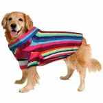 Sage Square Funky Soft Material Dog Shirt | Cool/Funky Print Pet | Soft Light Weight | Comfortable & Breathable Dog Clothing | Trendy Vest Outfit (Large - 22 inch) (Color Stripes Print)