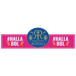 Festiko Team RR Headbands (Set of 10 Pcs), Ipl Theme Headbands, Cricket Party Props, Ipl party supplies, Ipl Party Wearables