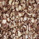 Xetomos Kapoor Kachri Ekangi Kaempferia Galanga 250gram