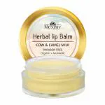 Mexmy Cow & Camel Milk Lip Balm With Cow Milk, Camel Milk, Apricot Oil, Almond Oil, Beeswax