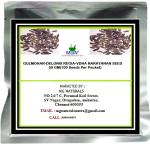 Mgbn The Path For The Healthier Life With Beauty Gulmohar-Delonix Regia-Vdha Narayanan Seed, 50 Gm(100 Seeds)