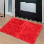Faburaa Bathroom Mat for Outside Door, Used in Bathroom, Home, Kitchens (Royale Red, 40x60 Cm)