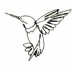 SIMPLY INKED Hummingbird Temporary Tattoo, Designer Tattoo for all (Hummingbird tattoo)