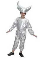 KAKU FANCY DRESSES Nature Theme Moon Costume -Silver, 7-8 Years, For Boys & Girls
