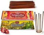 Gangotri Bambooles Agarbatti Incense Sticks, Pack of 2, 124 Sticks, Vanaushadhi & Surgandha Fragrance, Free Stand