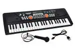 DOMENICO 530P Electronic Keyboard Piano, USB Adapter and Microphone Black