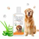 Tick & Flea Dog Shampoo | Ditch to Itch Dog Shampoo for Pomeranian, Puppy, Rottweiler Adult, German Shepherd, Labrador and Golden Retriever | Medicated Pet Shampoo for Dogs (200ml)
